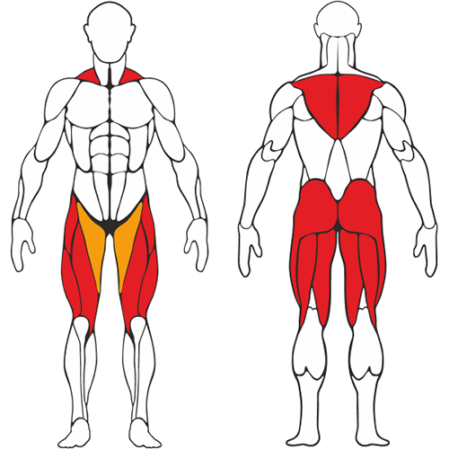 Уличный тренажер Приседание шраги S307 IronKing