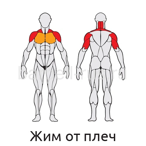 Уличный тренажер Жим от плеч с дисками S410 IronKing