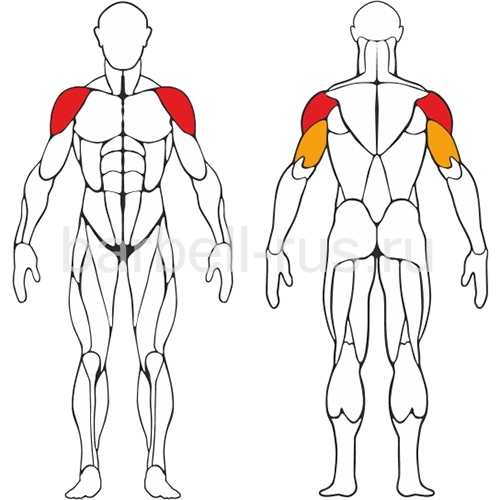 Уличный тренажер Жим от плеч S305 IronKing