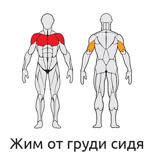Уличный тренажер Жим от груди сидя S401 IronKing