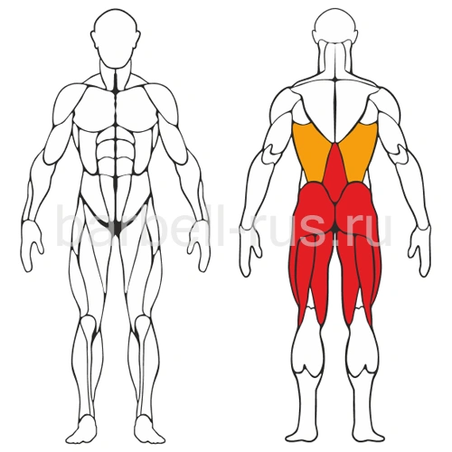 Уличный тренажер Становая тяга S420 IronKing