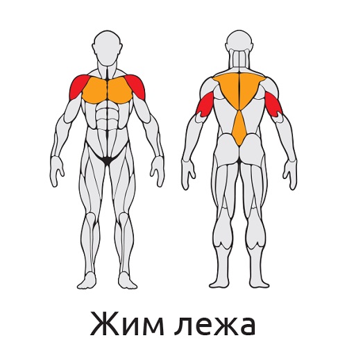 Уличный тренажер Жим лежа с дисками S409 IronKing