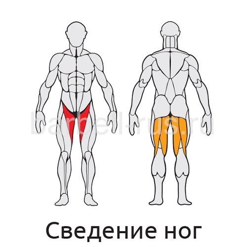 Уличный тренажер Сведение ног с изменяемой нагрузкой S406 IronKing