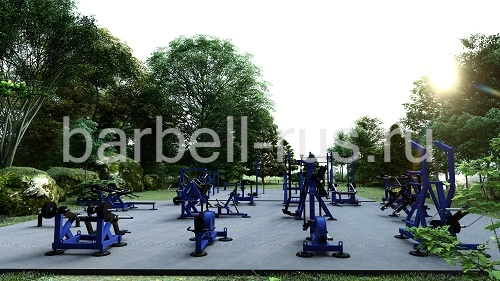 Уличная площадка 250 кв.м с силовыми тренажерами и воркаут SP250