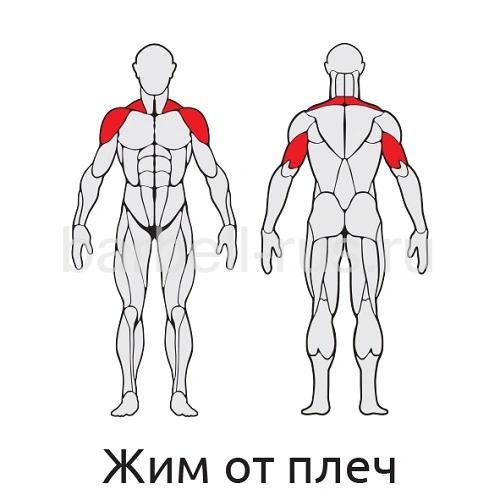 Уличный тренажер Жим вверх от плеч с дисками S421 IronKing