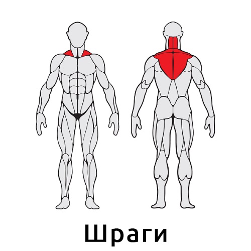 Уличный тренажер Мультиштанга S411 IronKing