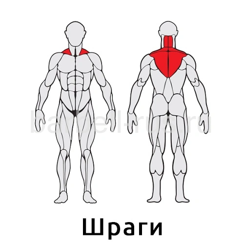 Уличный тренажер Мультиштанга S411 IronKing