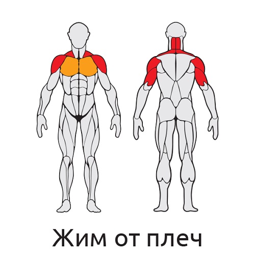 Уличный тренажер Жим от плеч с дисками S410 IronKing