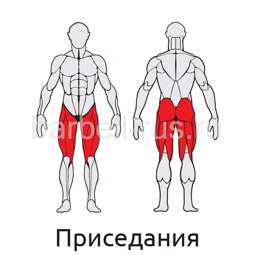 Уличный тренажер Мультиштанга S411 IronKing
