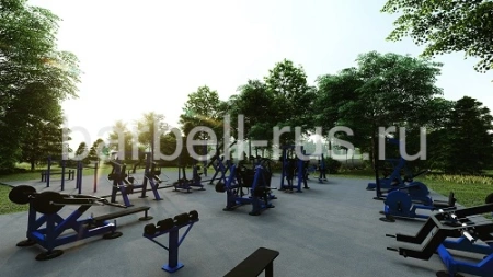 Уличная площадка 250 кв.м с силовыми тренажерами и воркаут SP250