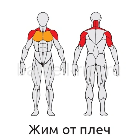 Уличный тренажер Жим от плеч с дисками S410 IronKing