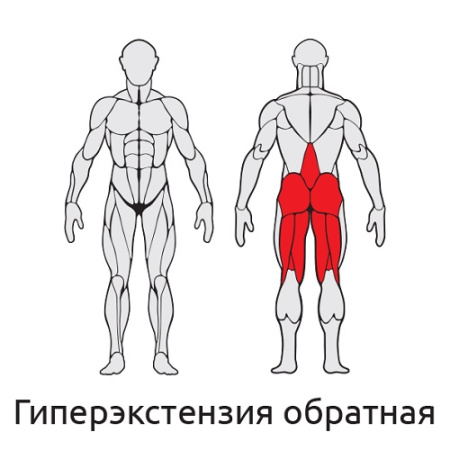 Уличный тренажер Гиперэкстензия обратная S405 IronKing