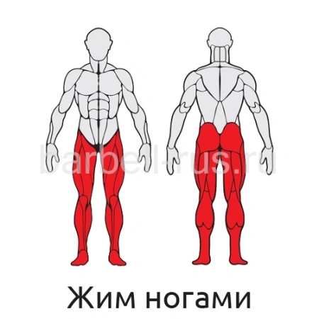 Уличный тренажер Жим ногами с дисками S412 IronKing