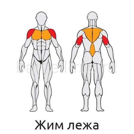 Уличный тренажер Жим лежа с дисками S409 IronKing
