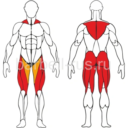 Уличный тренажер Приседание шраги S307 IronKing
