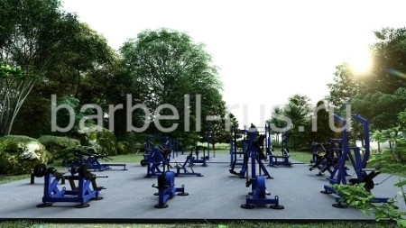 Уличная площадка 250 кв.м с силовыми тренажерами и воркаут SP250