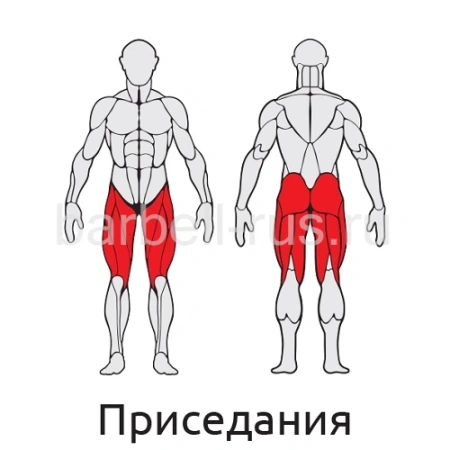 Уличный тренажер Мультиштанга S411 IronKing